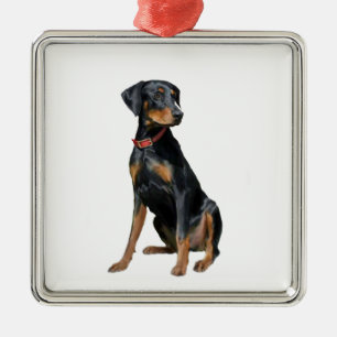 Doberman Pinscher (natural) Metal Ornament