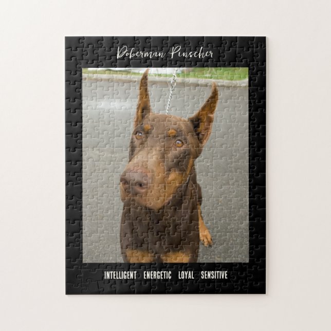 Doberman Pinscher Photo Dog Breed Jigsaw Puzzle (Vertical)