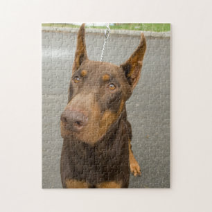 Doberman Pinscher Photo Jigsaw Puzzle