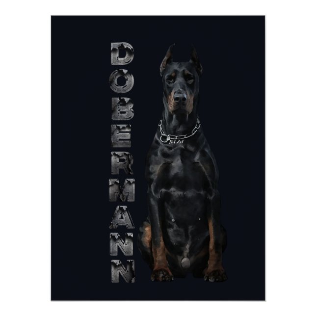 Doberman Pinscher    Poster (Front)