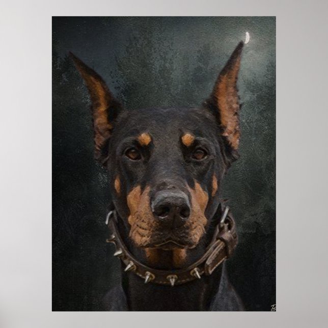Doberman Pinscher  Poster (Front)
