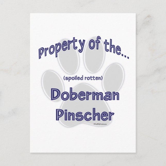 Doberman Pinscher Property Postcard (Front)