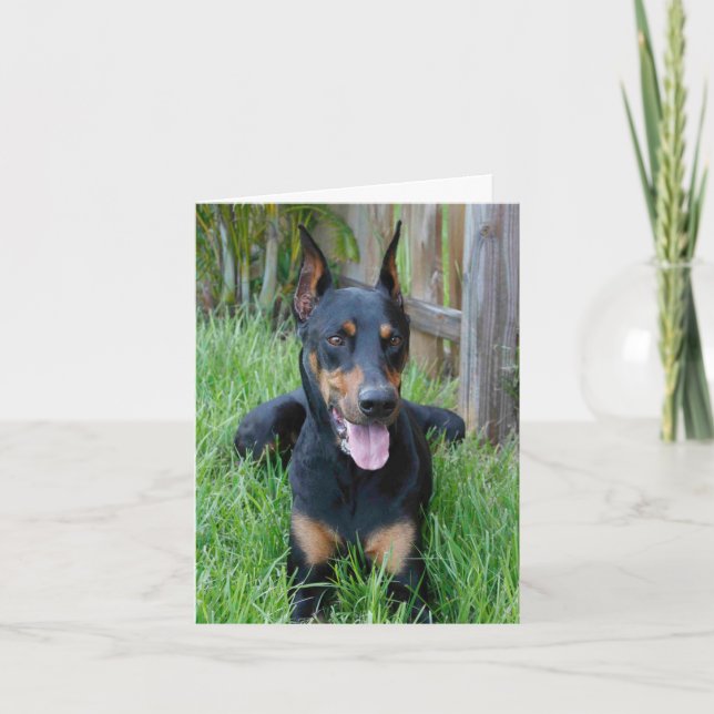 Doberman Pinscher Puppy Dog Blank Note Card (Front)