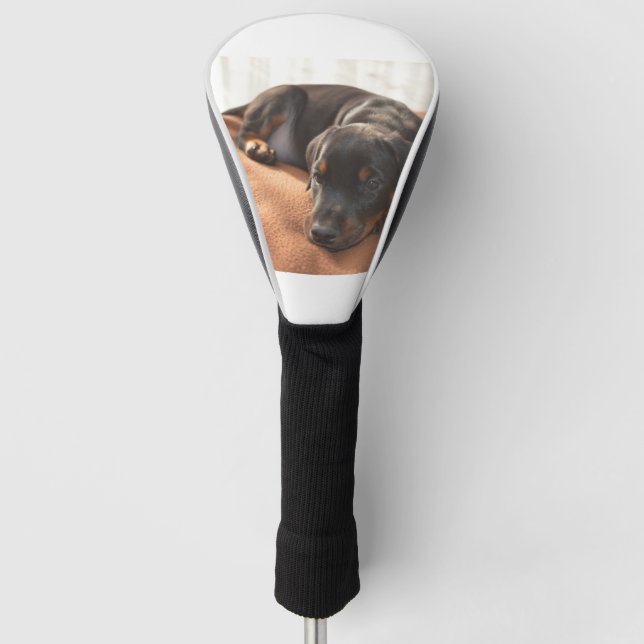 doberman-pinscher-puppy golf head cover (Front)