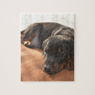 doberman-pinscher-puppy jigsaw puzzle