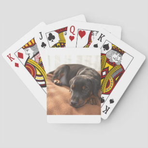 doberman-pinscher-puppy playing cards
