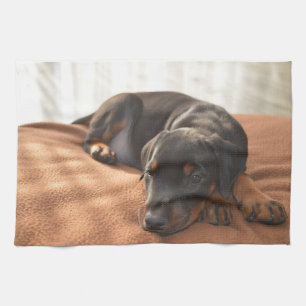 doberman-pinscher-puppy tea towel