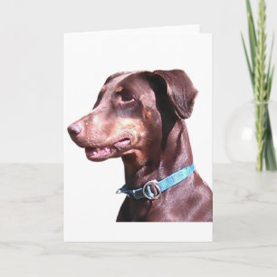 Doberman Pinscher Red Card