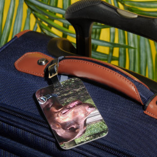 Doberman Pinscher Red Luggage Tag