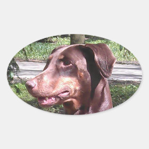 Doberman Pinscher Red Oval Sticker