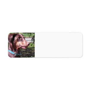 Doberman Pinscher Red Return Address Label