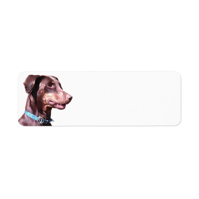 Doberman Pinscher Red Return Address Label (Front)