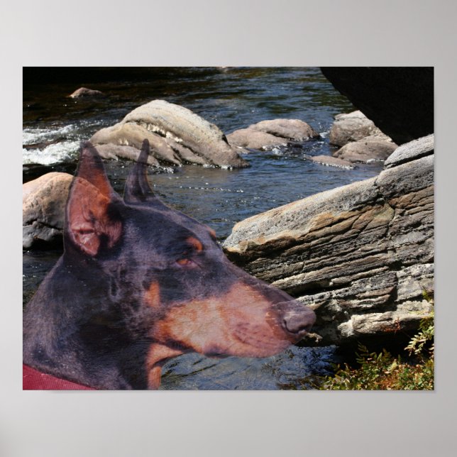 Doberman Pinscher River Rocks Fantasy Art  Poster (Front)
