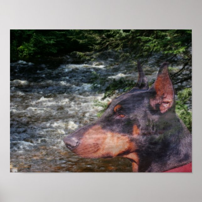 Doberman Pinscher River Tree Fantasy Art  Poster (Front)