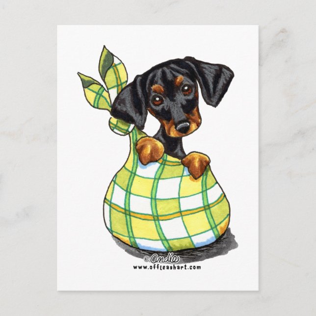 Doberman Pinscher Sack Puppy Postcard (Front)