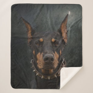 Doberman Pinscher Sherpa Blanket