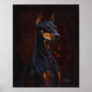 Doberman Pinscher Study Poster
