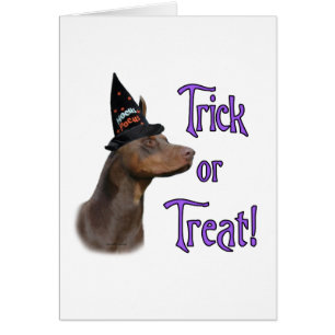 Doberman Pinscher Trick