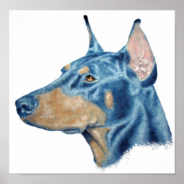 Doberman Poster (Front)