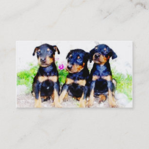 Doberman puppies business cards