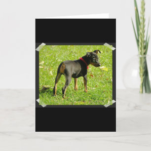 Doberman Puppies Greeting Card