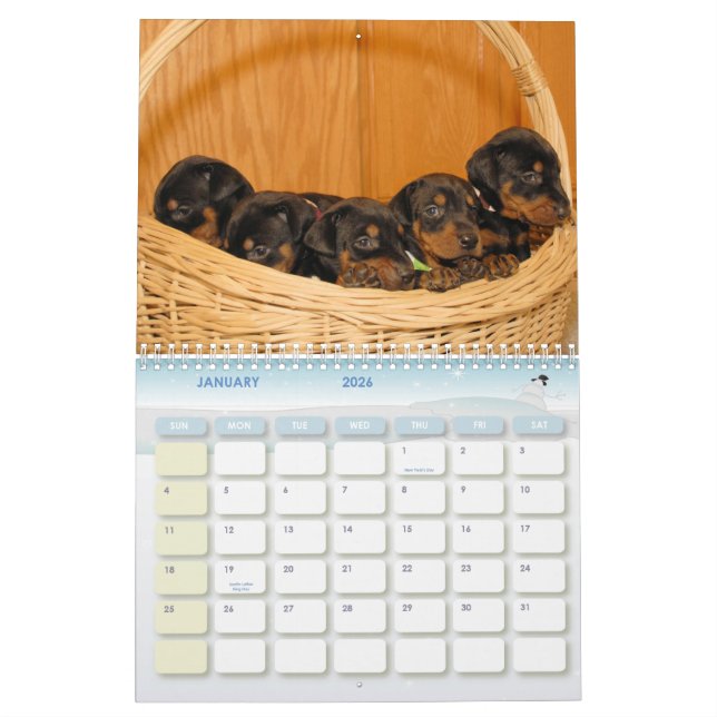 Doberman Puppy Calendar (Jan 2026)