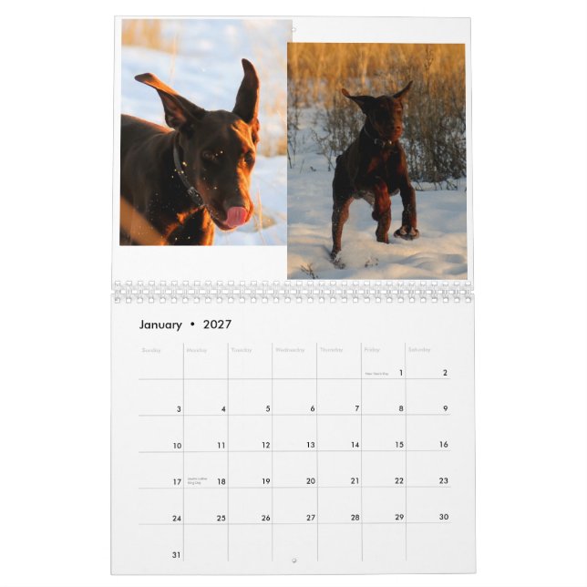 Doberman Puppy Calendar 2012 (Jan 2027)