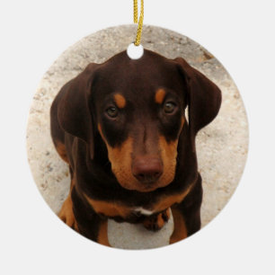 Doberman Puppy Ornament