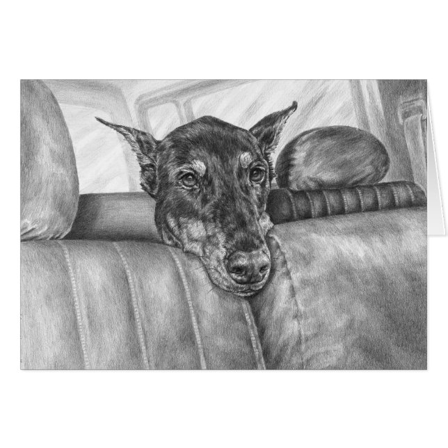 Doberman Riding in Car Drawing by Kelli Swan (Front Horizontal)