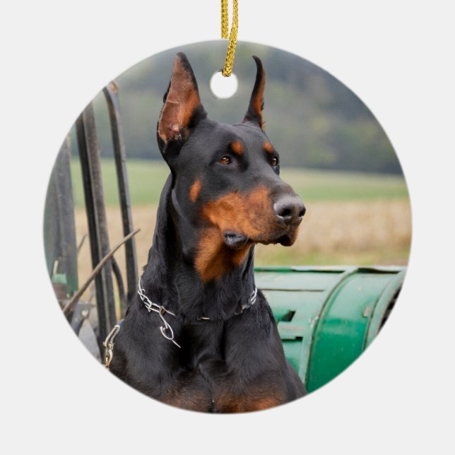 Doberman sitting in a green farm machinery ceramic ornament (Front)