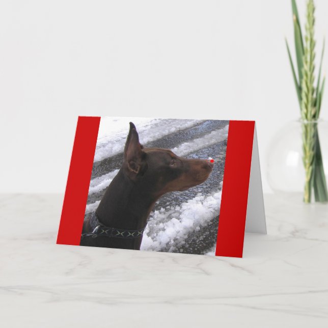 Doberman with Red Nose Holiday Card (Front)