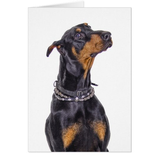 Doberman With Sneaky Look Who Me? Card