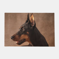 Dobermann - Doberman Pinscher