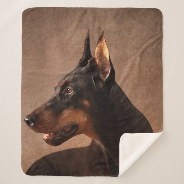 Dobermann - Doberman Pinscher Sherpa Blanket (Front)