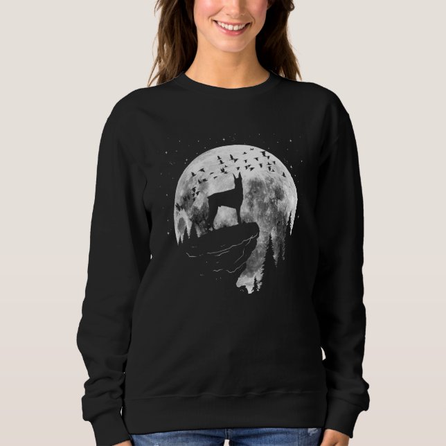 Dobermann Dog Breed Night Stroll for Dog Owner Sweatshirt (Front)