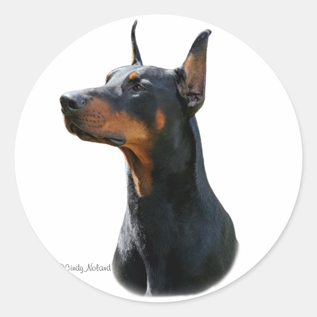 Dobermann Pinscher head-black Sticker (Front)