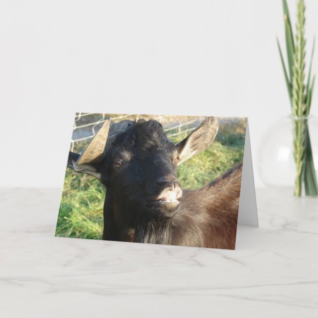 Dobie the Alpine Billy Card (Front)