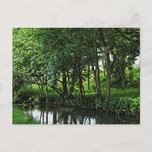 Dock Feeder Canal, Bute Park, Cardiff, Wales. Postcard (Front)