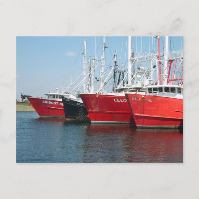 Docked Fishing Vessels Postcard (Front)