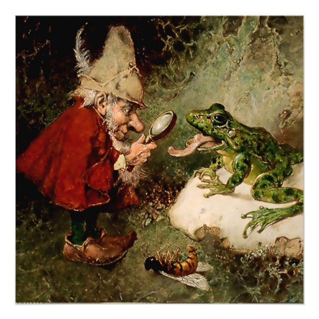 “Doctor Gnome Inspects Frog Tongue” by Heinrich Sh Photo Print (Front)