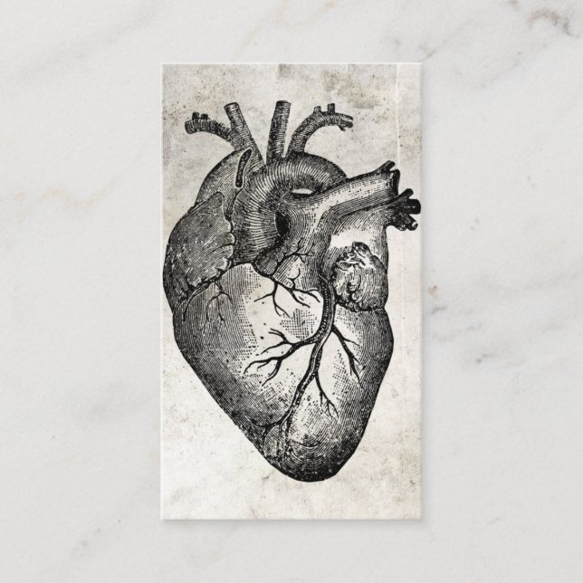 Doctor Heart Anatomy Business Cards (Front)