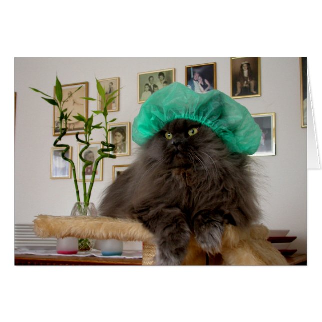 Doctor Romeo (Front Horizontal)