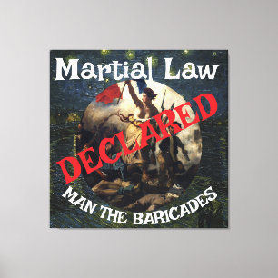DOD DOJ EPA TRUMP DECLARES MARTIAL LAW BARRICADES CANVAS PRINT