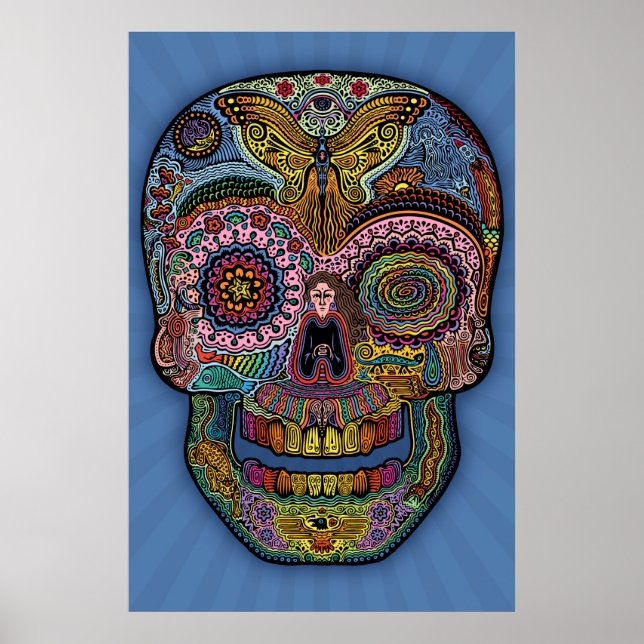 Dod Sk511 -colour Poster (Front)