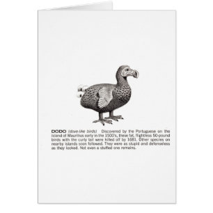 dodo