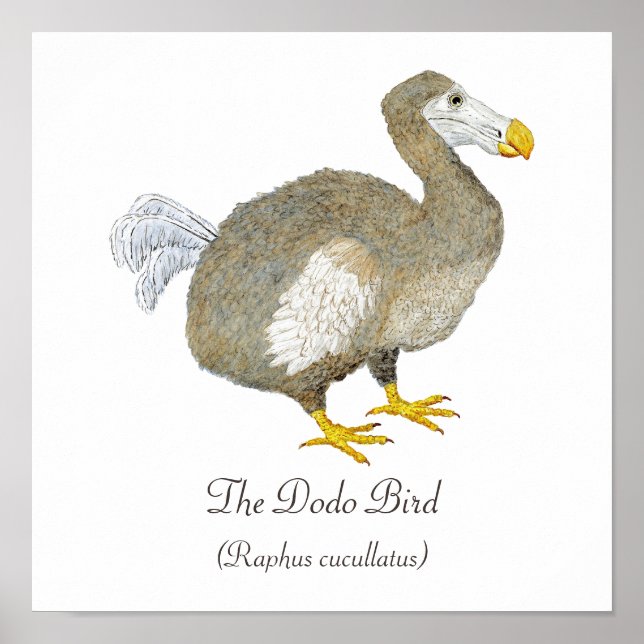 Dodo Bird Art Poster (Front)