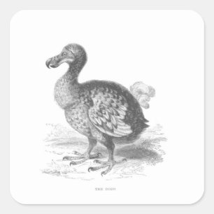 Dodo Bird Square Sticker