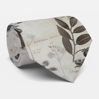 dodo history nature biology tie