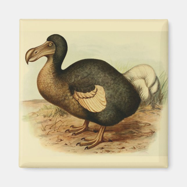 Dodo Magnet (Front)