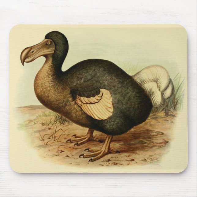 Dodo Mousepad (Front)